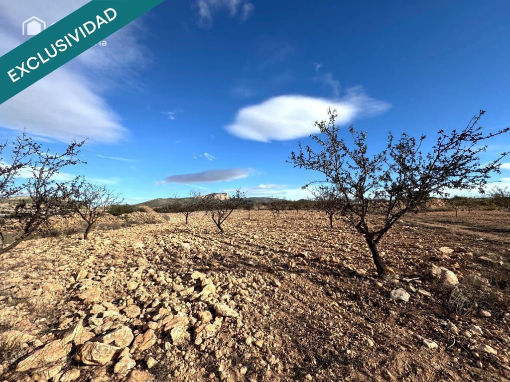 Teren niezagospodarowany na sprzedaż w Monovar / Monover - 15 500 € (Ref: 9595830)