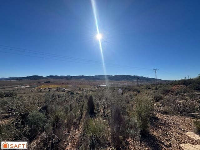 Ubebygd land til salgs i Cañada de la Lena, Abanilla - € 119 000 (Ref: 9595833)