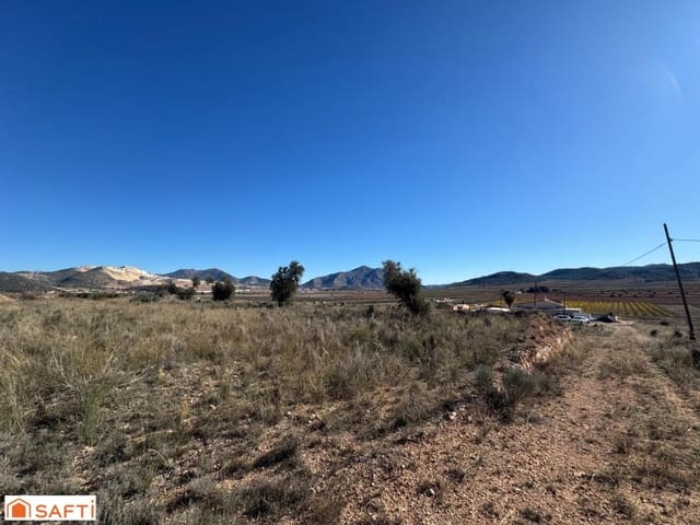 Ubebygd land til salgs i Cañada de la Lena, Abanilla - € 119 000 (Ref: 9595833)