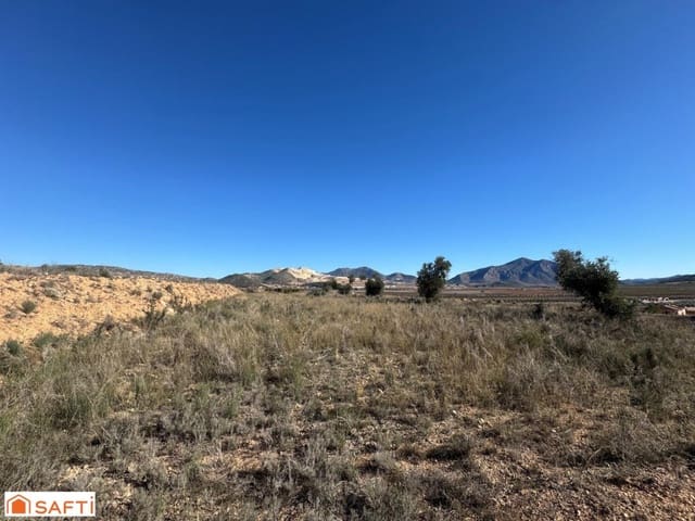 Ubebygd land til salgs i Cañada de la Lena, Abanilla - € 119 000 (Ref: 9595833)