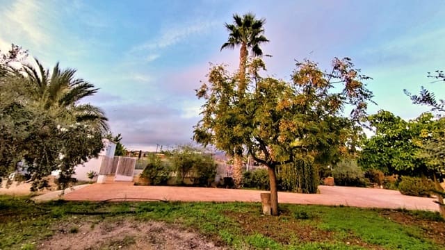 4 Zimmer Finca/Landgut zu verkaufen in Novelda mit Pool - 420.000 € (Ref: 9595842)