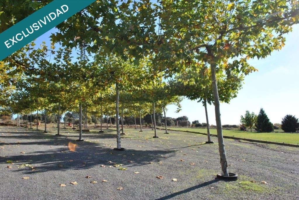 Commercial for sale in Valdevimbre - € 400,000 (Ref: 9595861)