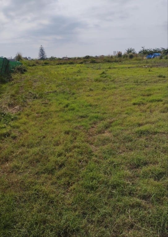 Terreno Não Urbanizado para venda em Cullera - 17 000 € (Ref: 9595863)