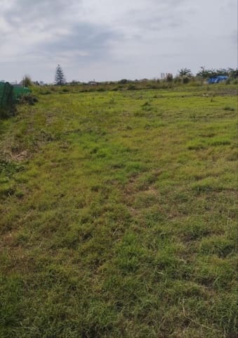 Terreno Não Urbanizado para venda em La Vega - Marenyet, Cullera - 17 000 € (Ref: 9595863)