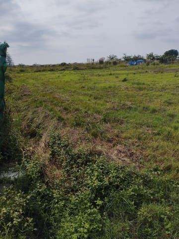 Terreno Não Urbanizado para venda em La Vega - Marenyet, Cullera - 17 000 € (Ref: 9595863)