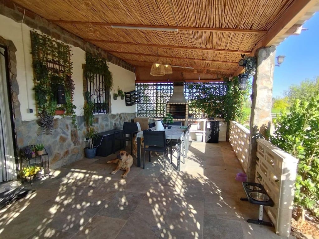 Terreno Não Urbanizado para venda em Cullera - 220 000 € (Ref: 9595865)