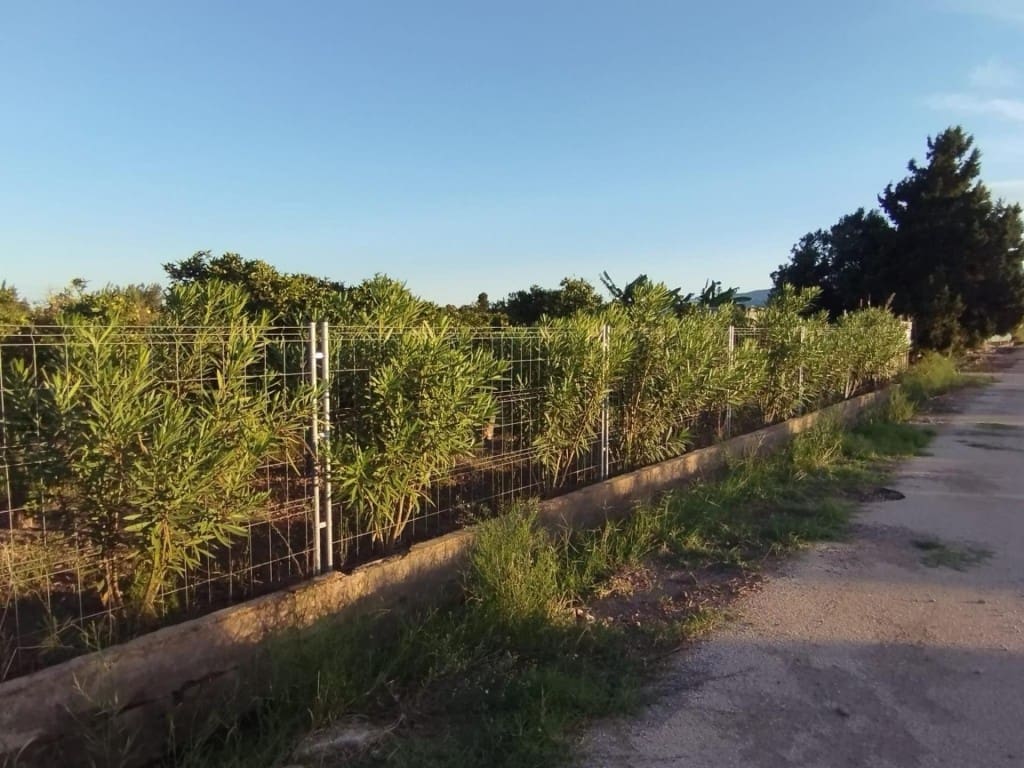 Terreno Não Urbanizado para venda em Cullera - 125 000 € (Ref: 9595867)