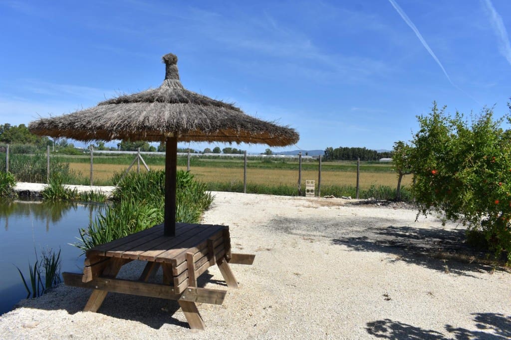 3 soveværelse Finca/Landehus til salg i Amposta med swimmingpool garage - € 569.900 (Ref: 9595879)