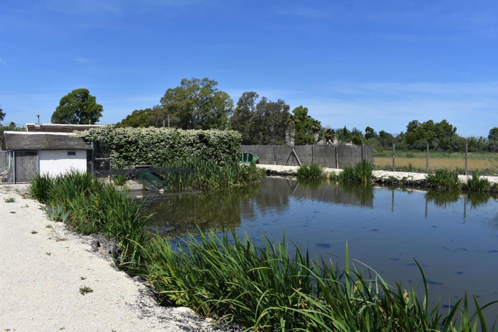 3 soveværelse Finca/Landehus til salg i Amposta med swimmingpool garage - € 569.900 (Ref: 9595879)