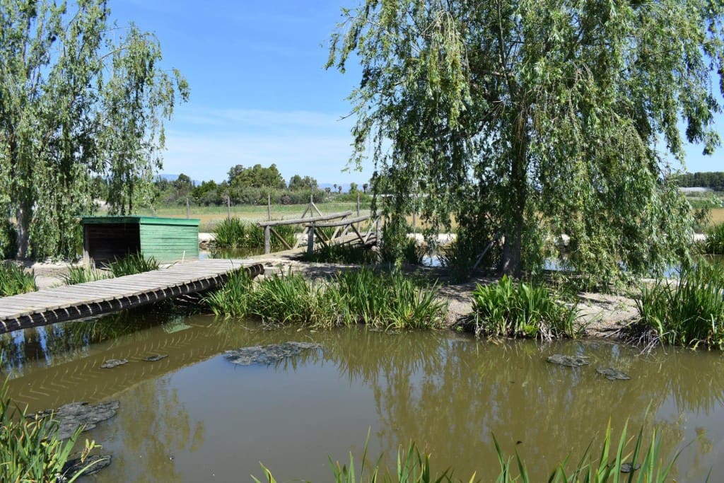 3 soveværelse Finca/Landehus til salg i Amposta med swimmingpool garage - € 569.900 (Ref: 9595879)