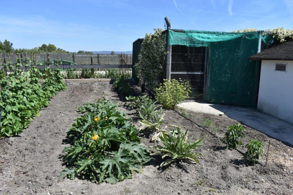 3 soveværelse Finca/Landehus til salg i Amposta med swimmingpool garage - € 569.900 (Ref: 9595879)