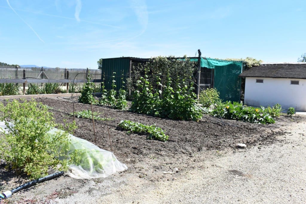 3 soveværelse Finca/Landehus til salg i Amposta med swimmingpool garage - € 569.900 (Ref: 9595879)