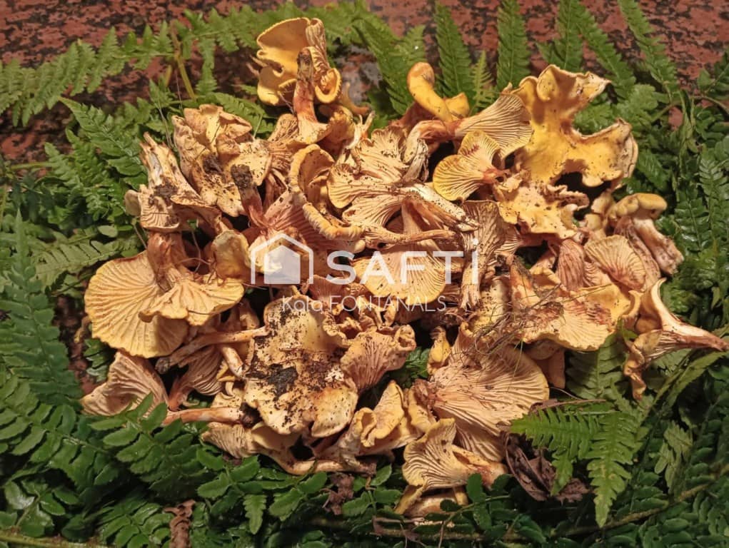 5 soveværelse Finca/Landehus til salg i Vallgorguina med garage - € 598.000 (Ref: 9595909)