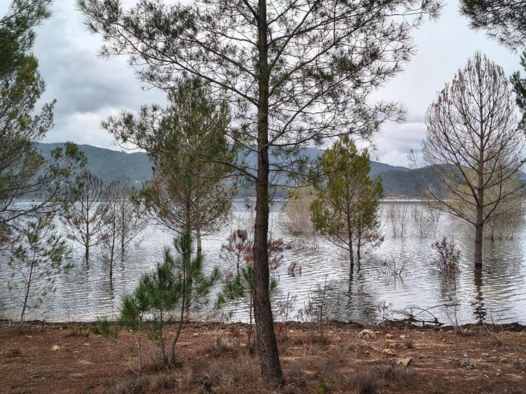 2 bedroom Apartment for sale in Sacedon - € 90,000 (Ref: 9595942)