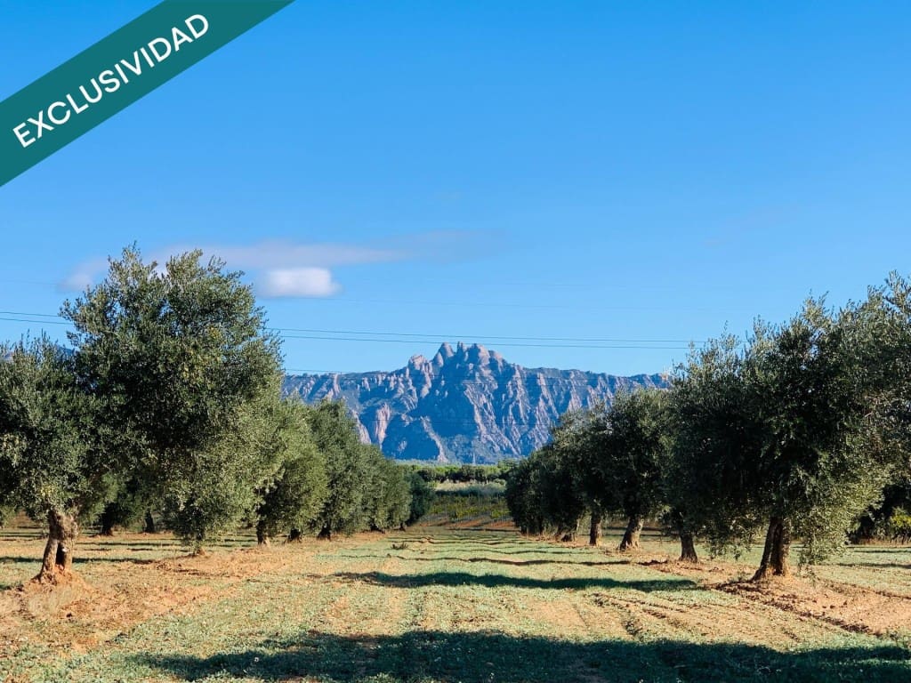 Solar/Parcela en Piera en venta - 48.000 € (Ref: 9595973)