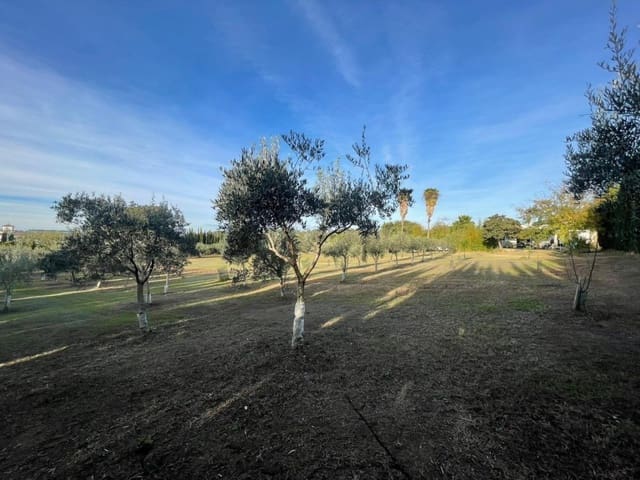 2 makuuhuone Maalaistalo myytävänä paikassa Jerez de la Frontera - 272 500 € (Ref: 9596000)