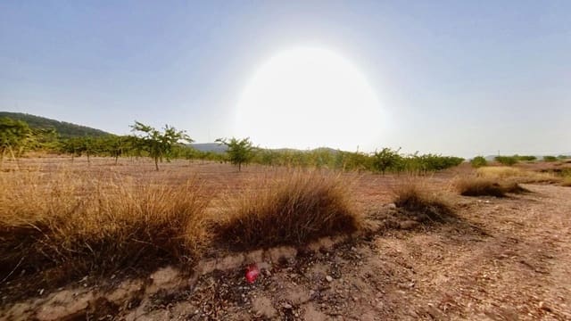 Terreno Não Urbanizado para venda em Monóvar / Monóver - 70 000 € (Ref: 9604882)