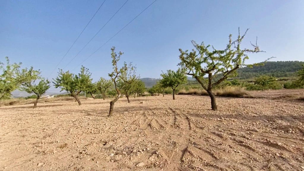 Terreno Não Urbanizado para venda em Monovar / Monover - 70 000 € (Ref: 9604882)