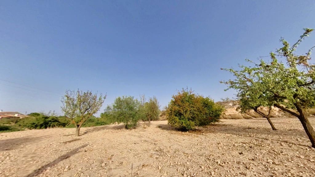 Terreno Não Urbanizado para venda em Monovar / Monover - 70 000 € (Ref: 9604882)