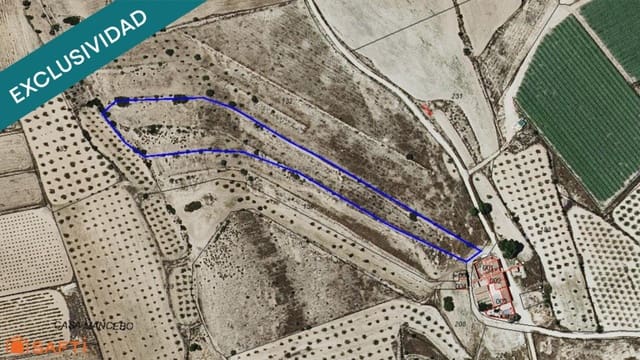 Undeveloped Land for sale in Pinoso - € 13,000 (Ref: 9604887)