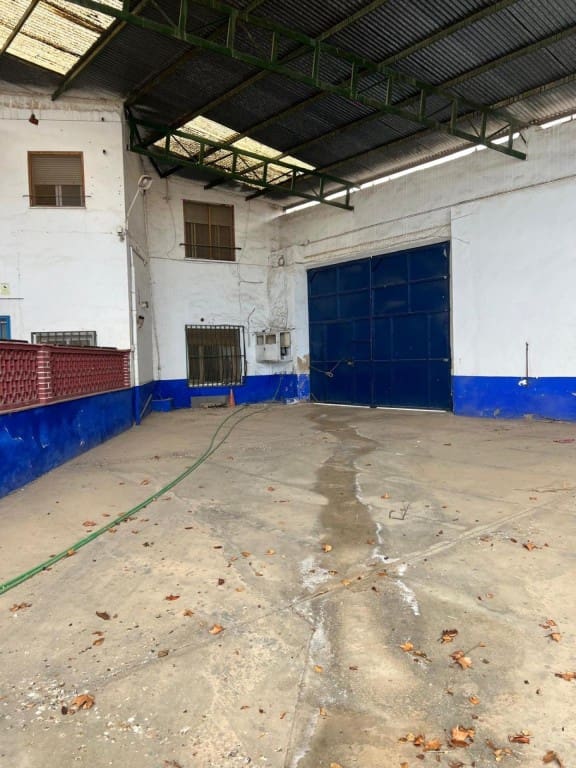 17 soverom Villa til salgs i Argamasilla de Alba - € 350 000 (Ref: 9604892)