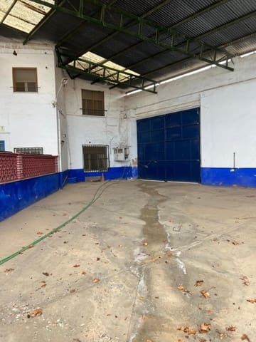 17 soverom Villa til salgs i Argamasilla de Alba - € 350 000 (Ref: 9604892)