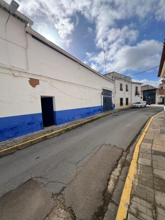 17 soverom Villa til salgs i Argamasilla de Alba - € 350 000 (Ref: 9604892)