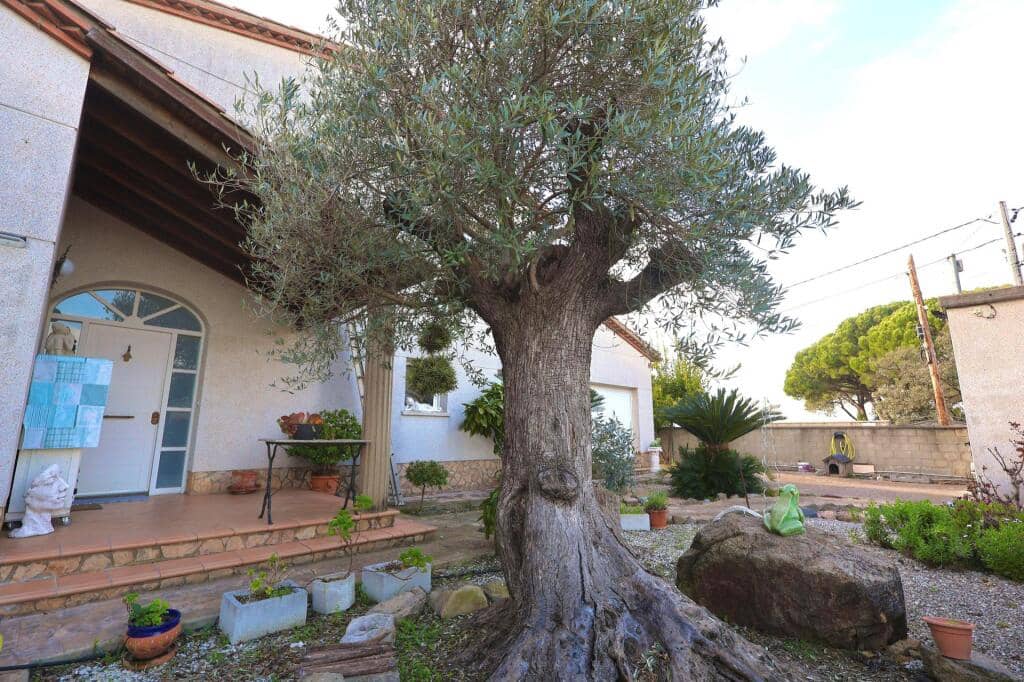 6 bedroom Villa for sale in Macanet de la Selva - € 445,000 (Ref: 9607983)