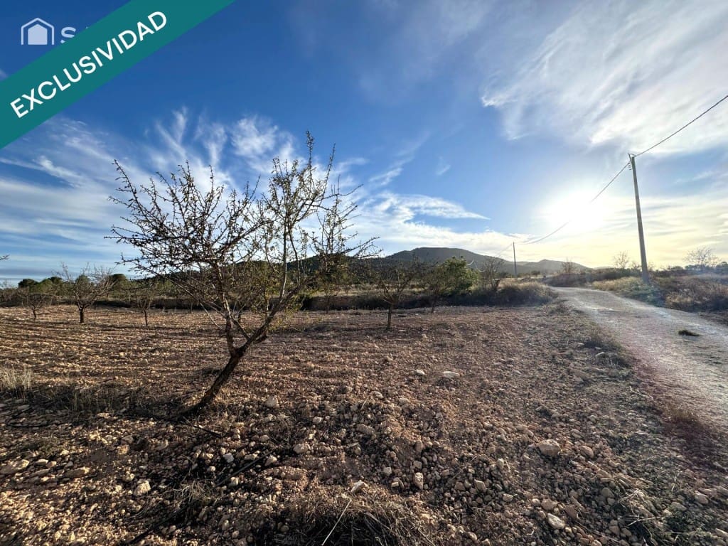 Terreno/Finca Rústica en Monóvar / Monóver en venta - 15.000 € (Ref: 9615524)