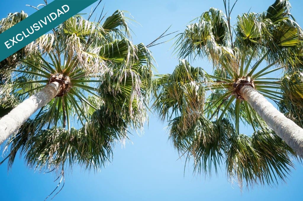 4 soveværelse Villa til salg i Santa Margalida med swimmingpool - € 727.000 (Ref: 9619289)