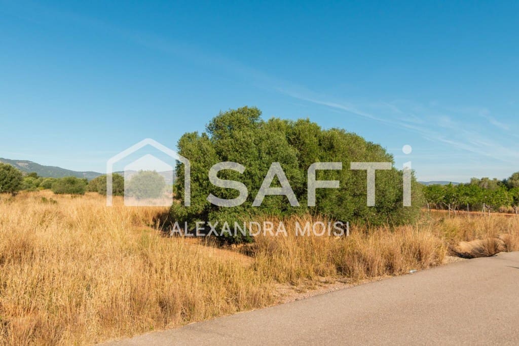 Mark till salu i Oropesa  - 125 000 € (Ref: 9630016)