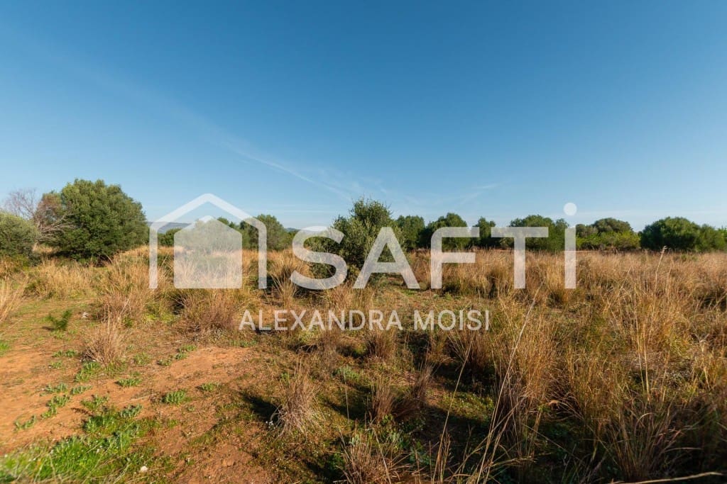 Mark till salu i Oropesa  - 125 000 € (Ref: 9630016)