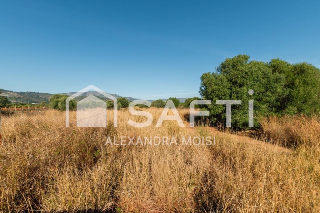 Mark till salu i Oropesa  - 125 000 € (Ref: 9630016)