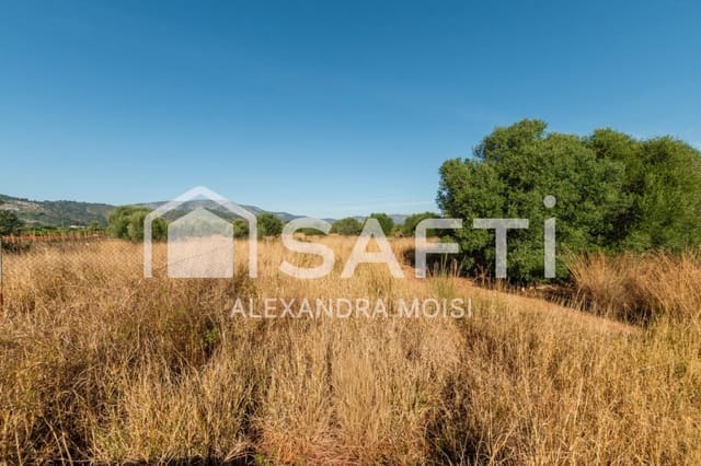 Mark till salu i Oropesa  - 125 000 € (Ref: 9630016)