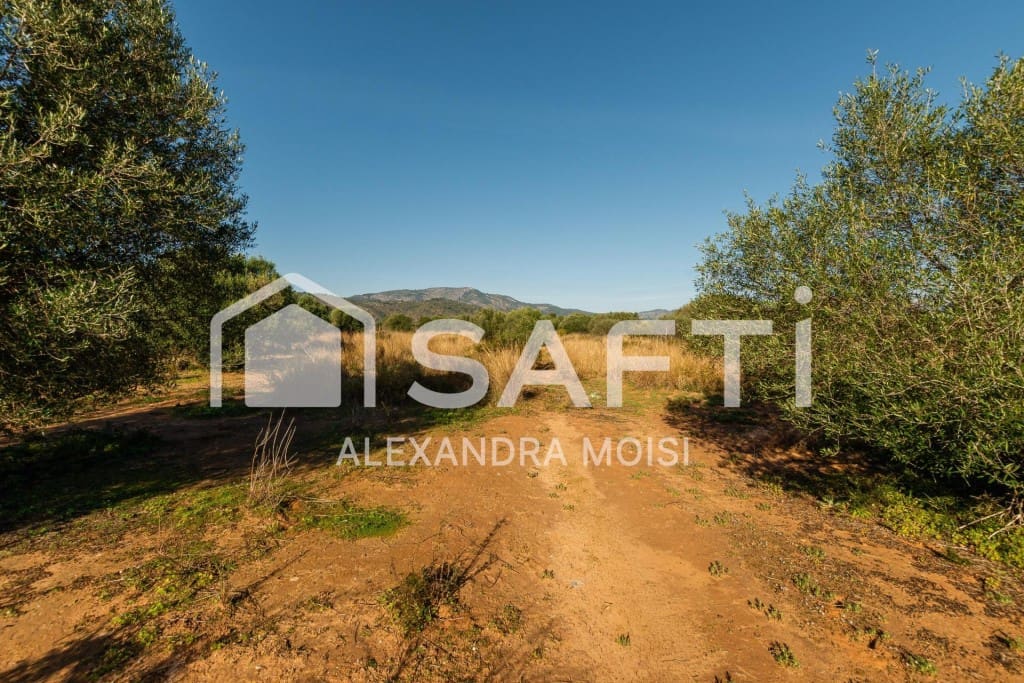 Mark till salu i Oropesa  - 125 000 € (Ref: 9630016)