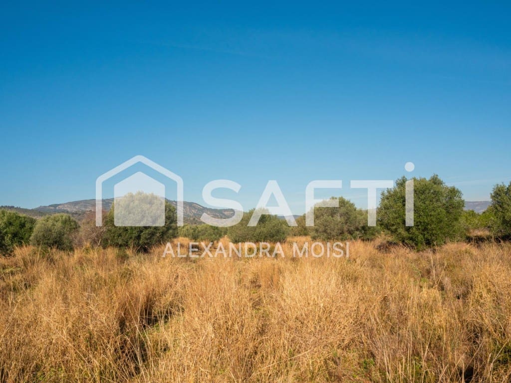 Mark till salu i Oropesa  - 125 000 € (Ref: 9630016)