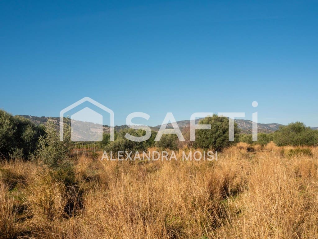 Mark till salu i Oropesa  - 125 000 € (Ref: 9630016)