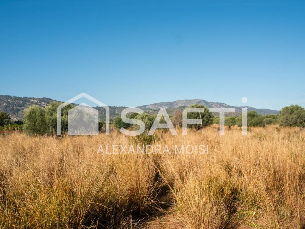 Mark till salu i Oropesa  - 125 000 € (Ref: 9630016)