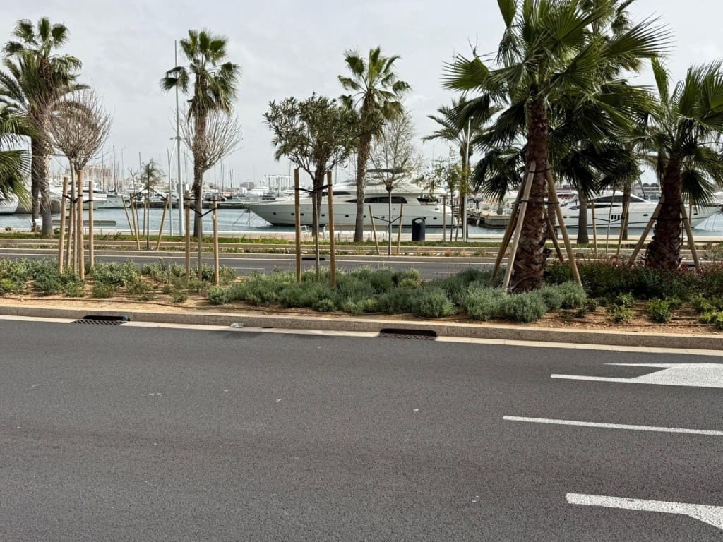 2 soverom Leilighet til leie i Palma de Mallorca - € 1 500 (Ref: 9655893)