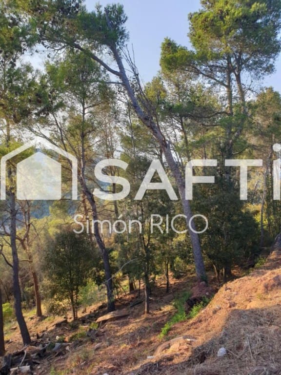 Bouwgrond te koop in Cervello - € 42.000 (Ref: 9659261)