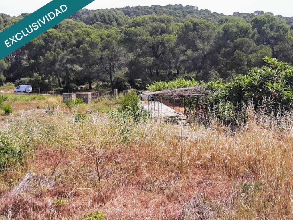Undeveloped Land for sale in Sagunto / Sagunt - € 75,000 (Ref: 9690454)
