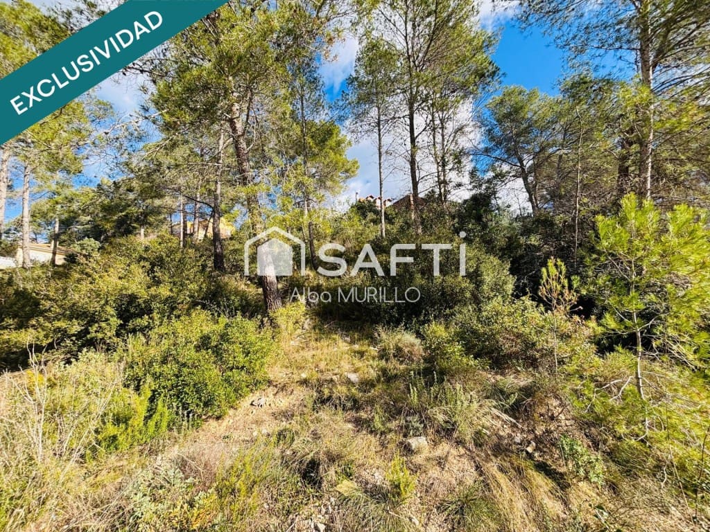 Area Edificabile in vendita in Olivella - 68.000 € (Rif: 9690462)