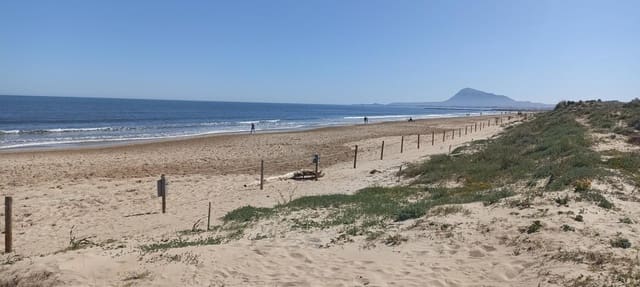 5 quarto Apartamento para venda em Oliva Nova, Oliva - 875 000 € (Ref: 9695230)