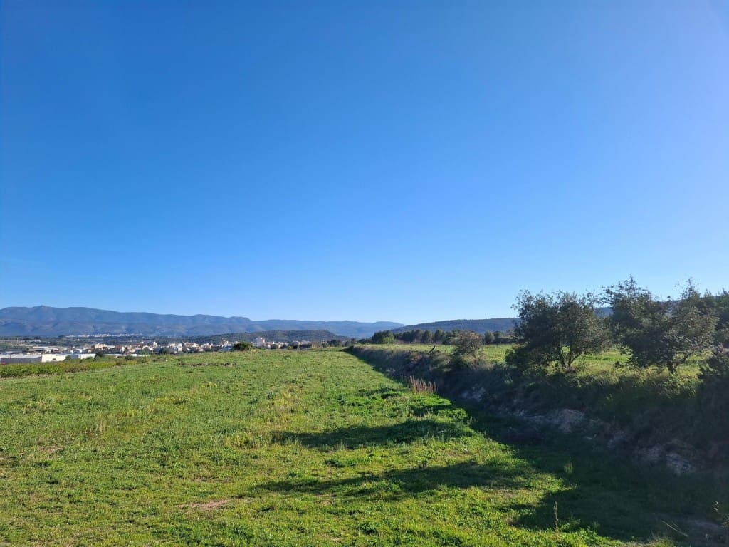 Terrain à Bâtir à vendre à Aielo de Malferit - 95 000 € (Ref: 9701508)