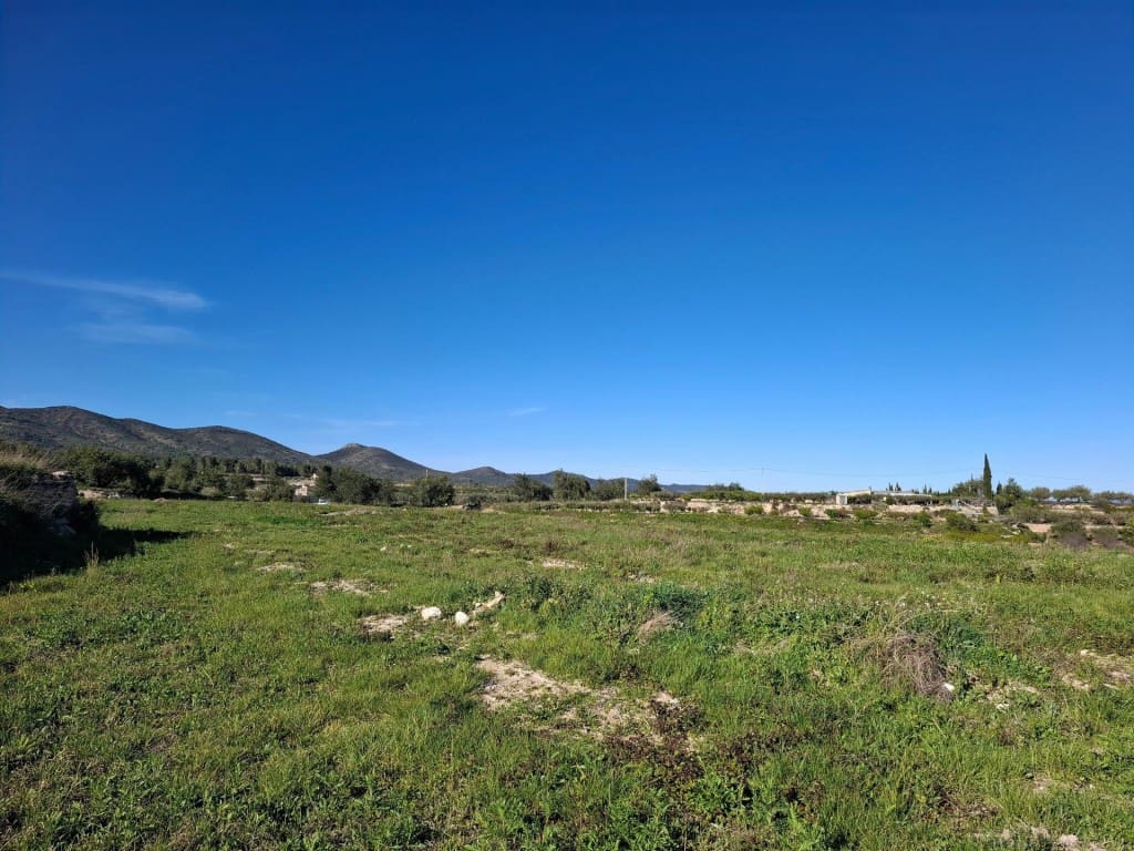 Terrain à Bâtir à vendre à Aielo de Malferit - 95 000 € (Ref: 9701508)