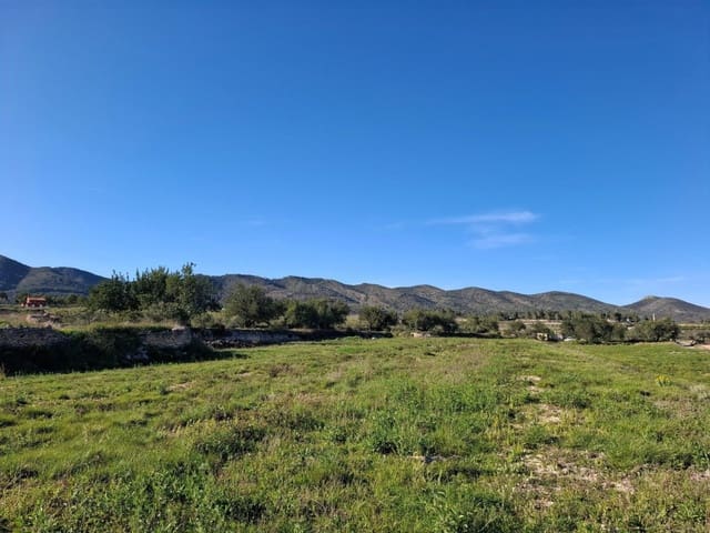 Terrain à Bâtir à vendre à Aielo de Malferit - 95 000 € (Ref: 9701508)