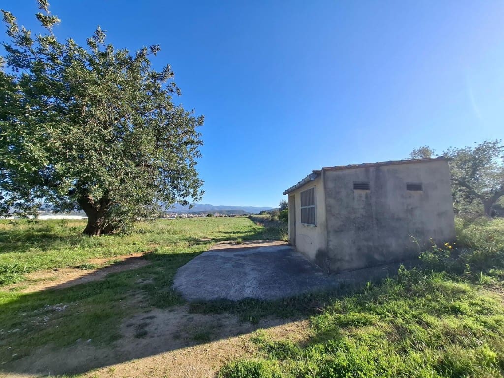 Terrain à Bâtir à vendre à Aielo de Malferit - 95 000 € (Ref: 9701508)