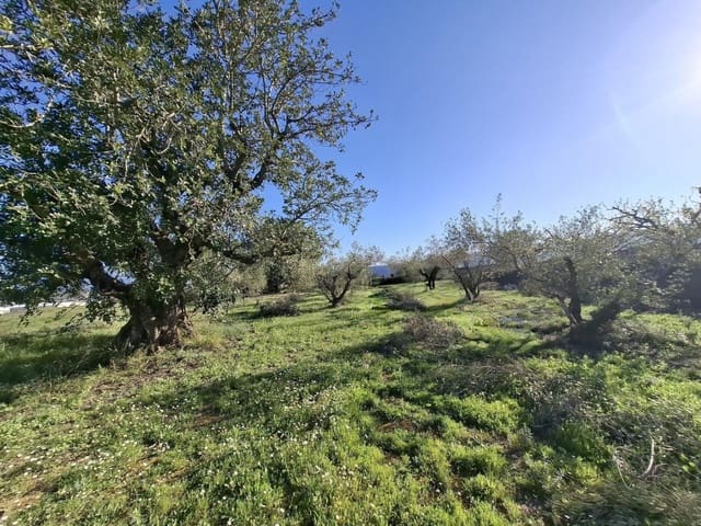 Terrain à Bâtir à vendre à Aielo de Malferit - 95 000 € (Ref: 9701508)