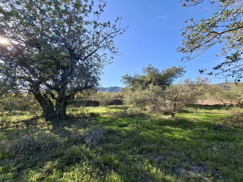 Terrain à Bâtir à vendre à Aielo de Malferit - 95 000 € (Ref: 9701508)
