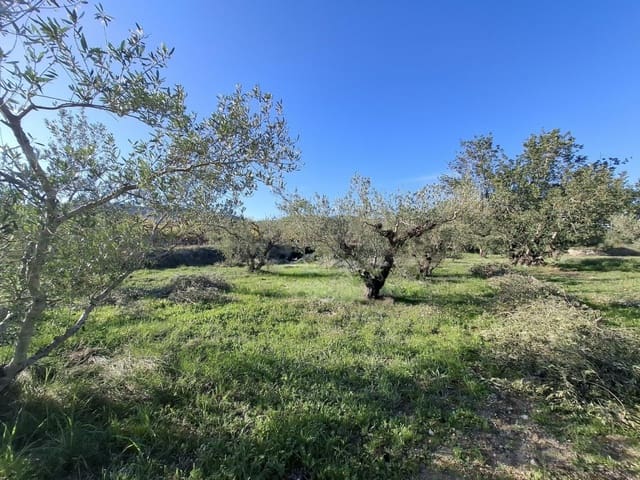 Terrain à Bâtir à vendre à Aielo de Malferit - 95 000 € (Ref: 9701508)